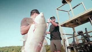 Bowfishing for Buffalo in the late summer [upl. by Lleret]