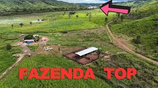 Linda Fazenda a venda em São Félix do xingu Pará 60 alqueires na beira do rio fresco [upl. by Publea]