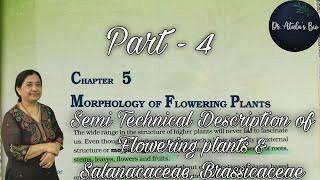 Morphology of flowering plants  Part 4  Class 11 Biology  NCERT NEET [upl. by Naek668]