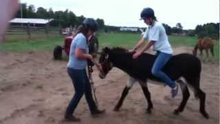 Cheryl riding the donkey at frontier trails [upl. by Airak]