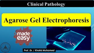 Agarose Gel Electrophoresis step by step easy guide [upl. by Arria]