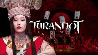 Turandot A Summary amp Analysis [upl. by Aelat986]