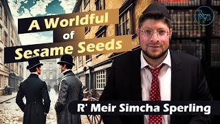 A Worldful of Sesame Seeds  Rabbi Meir Simcha Sperling [upl. by Undine744]