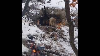 Winter Camping in Stone Shelter on Mountain Top [upl. by Rimola]