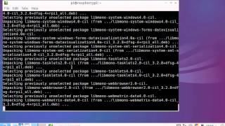 Install mono on Raspberry Pi [upl. by Kall]