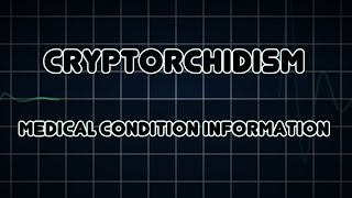 Cryptorchidism Medical Condition [upl. by Wesa]