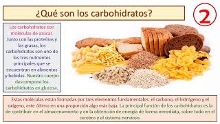 Los carbohidratos y lípidos [upl. by Nilreb650]