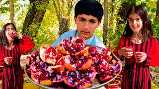 Harvesting Pomegranates in the Village and Gifts of Joy for the Children  Daily village life [upl. by Ferullo]