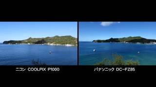 ニコンCOOLPIX P1000 光学125倍はスゴイがしかし･･･ [upl. by Cudlip]