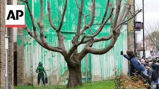 Banksy claims a tree mural on side of building in north London [upl. by Ezra]