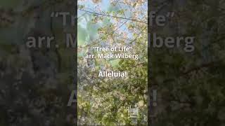 quotTree of Lifequot Watch Now tabchoir [upl. by Armalla]