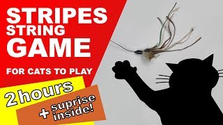 Cat Games 2 Hours Surprise Inside [upl. by Kass]