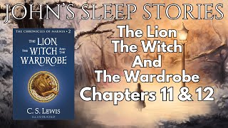 Sleep Story  The Lion The Witch And the Wardrobe by CS Lewis Chapters 11 and 12 W Rain Sounds [upl. by Ahsienaj]