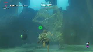 The Legend of Zelda Breath of the Wild  100 Run  Day 117 [upl. by Kirkpatrick]