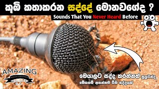 මේවනම් ඔබ අහන්නම ඕනි සද්ද [upl. by Palma]