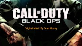 CoD Black Ops Soundtrack  Flaming Dart [upl. by Leotie542]