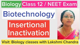 Insertional Inactivation  Bluewhite selection  Class 12 Biology  NEET Biology [upl. by Analos]