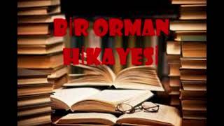 BİR ORMAN HİKAYESİ  Sabahattin Ali Hikayeleri [upl. by Naivad]