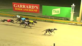 Rockhampton30102024Race1 [upl. by Eerihs283]