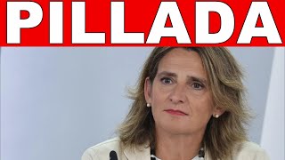 ¡OJO A ESTO Teresa la ecológica va a TENER QUE DAR MUCHAS EXPLICACIONES [upl. by Keating]