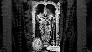 Namo Venkatesa Namo Tirumalesa Old Venkteshwara Bhakti Songsvenkateswara devotionalsongs [upl. by Irmo]