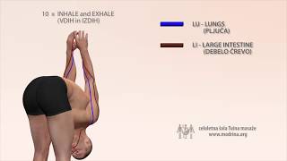 Basic Yoga Meridian Stretch Sequence  Makka Ho [upl. by Eclud]