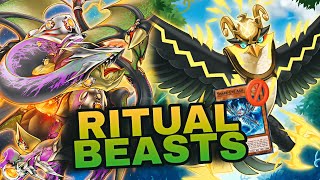 This Funny Ritual Beast Combo FTKs SnakeEye Decks  霊れい獣じゅう [upl. by Ylrehc675]