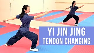 Health Qigong Yi Jin Jing Slow Pace [upl. by Ettenad]