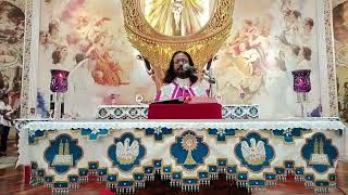 Holy Mass Live  Syro Malabar Holy Mass in Malayalam  Syro Malabar Qurbana [upl. by Oetomit267]