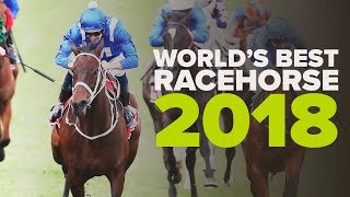 WORLDS BEST RACEHORSE 2018 [upl. by Ahsineg85]