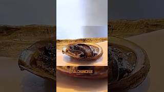 😱😱 L’abalone la plus malchanceuse du monde recette cuisine food [upl. by Yatzeck920]