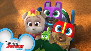 Soapbox Derby Heroes  Puppy Dog Pals  disneyjr [upl. by Eirolav]