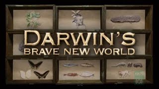 Darwins Brave New World Episode 1 2009 Australian Series [upl. by Nayhr150]