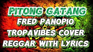 PITONG GATANG fred panopio  Tropavibes cover  regggae with lyrics [upl. by Anawot726]