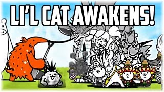 The Battle Cats  Tiny Meows Lil Cat Awakens [upl. by Ylrehs799]