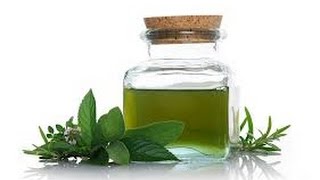 How to Make Peppermint Oil easy and fast DIY [upl. by Radborne]