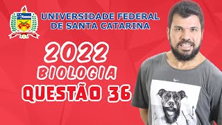 UFSC 2022  Questão 36  Organismos eucariontes e procariontes apresentam semelhanças e diferenças [upl. by Meredeth962]