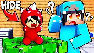 TOYS Hide and Seek in Minecraft [upl. by Anaerol]