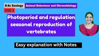 Photoperiod and Regulation seasonal reproduction of vertebrates B Sc zoology 5th semester DSEPII [upl. by Cash]