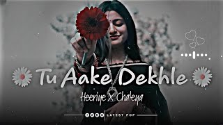 Tu Aake Dekhle X Heeriye X Chaleya Insta Mashup  revibe  Viral Insta Reels TikTok Remix [upl. by Boys]