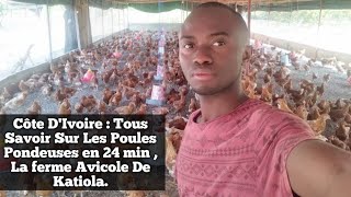 Côte DIvoire  Tous Savoir Sur Les Poules Pondeuses en 24 min  La ferme Avicole De Katiola [upl. by Ydnih]