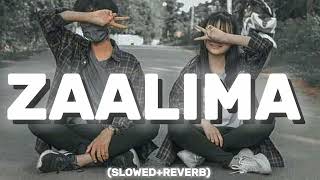 Zaalima Full Audio SlowedReverb Song 🎶 Arijit singh [upl. by Fryd]