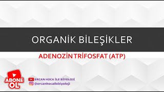 12 Organik Bileşikler ATP Ercan Hoca İle Biyoloji [upl. by Aihcsrop]