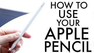 How To Use Your Apple Pencil Complete Beginners Guide [upl. by Aicela]