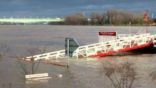 Hochwasser Köln 08012011 [upl. by Kant]