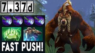 Lone Druid  Fast Push Full Match Gameplay Dota 2 737d [upl. by Kreitman154]