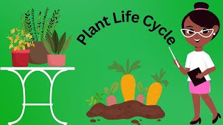 The Amazing Plant Life Cycle🌱Let The Children Play🍓🥭 Simple Science for Preschool Children [upl. by Jolee]