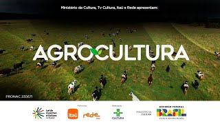 AGROCULTURA  CULTIVO DE MORANGO NO CALOR  17112024 [upl. by Phionna]