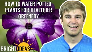 How to Water Potted Plants for Healthier Greenery [upl. by Innob]