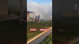 ❌️BASTA❌️ DE 🦟 DENGUE 🦟controldeplagas pestcontrol dengue [upl. by Gerge296]